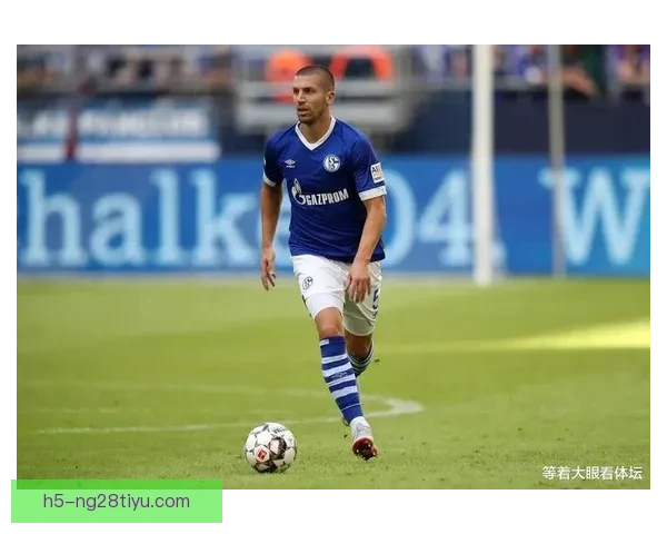 佛罗伦萨先租后买法比安