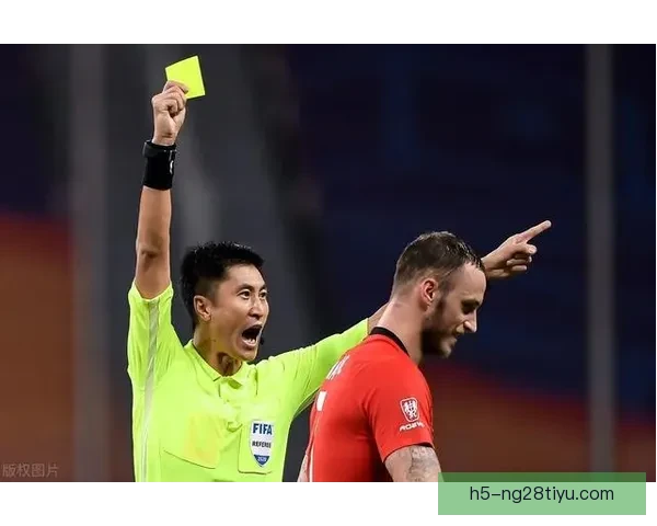 以德雷森呼吁足协提升裁判水平 以德雷森呼吁足协提升裁判水平