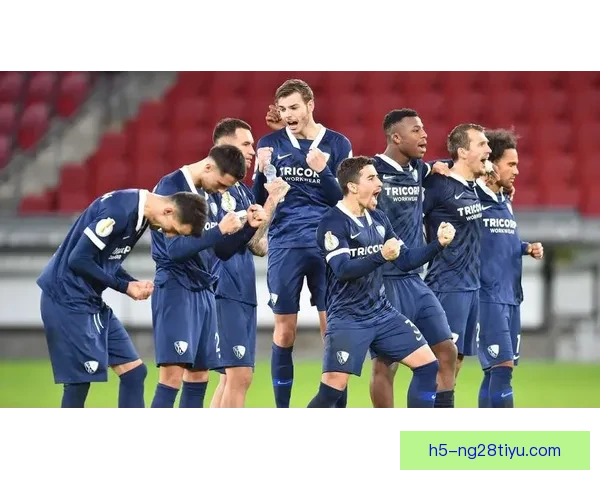 德甲：波鸿战胜杜塞尔多夫 逃过降级命运